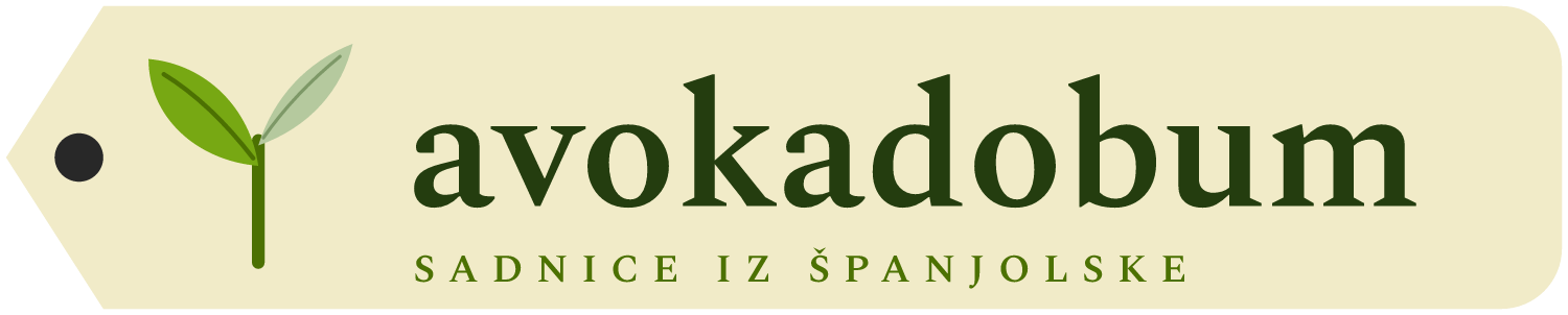 Avokadobum – sadnice iz Španjolske